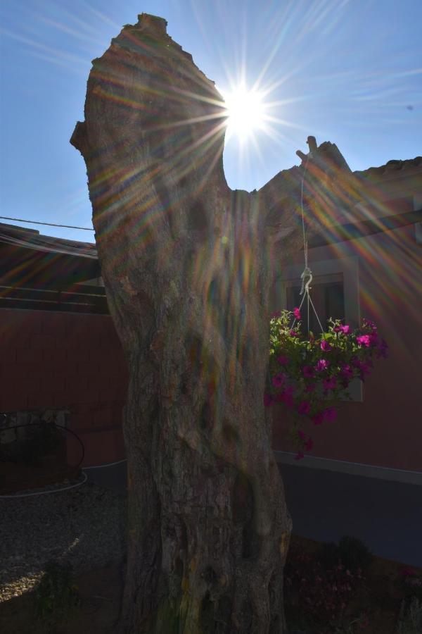 Casa Di Nina *